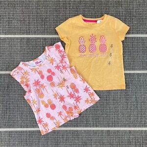 Bundle of 2 Pineapple Tees, 4T
